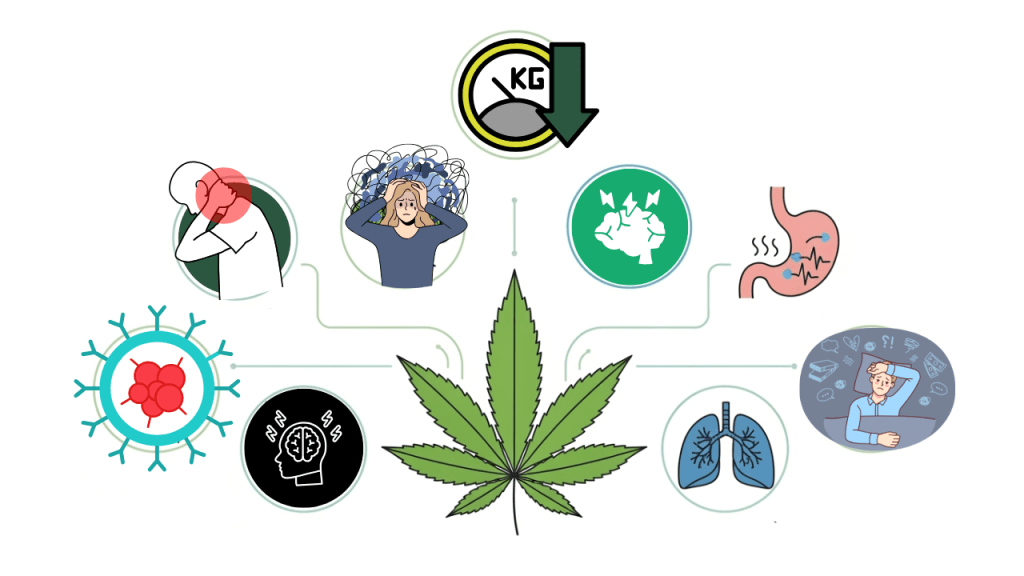 evidence and research on therapeutic medical marijuana card benefits